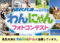 わんにゃんドーム
わんにゃん
フォトコンテスト
2027